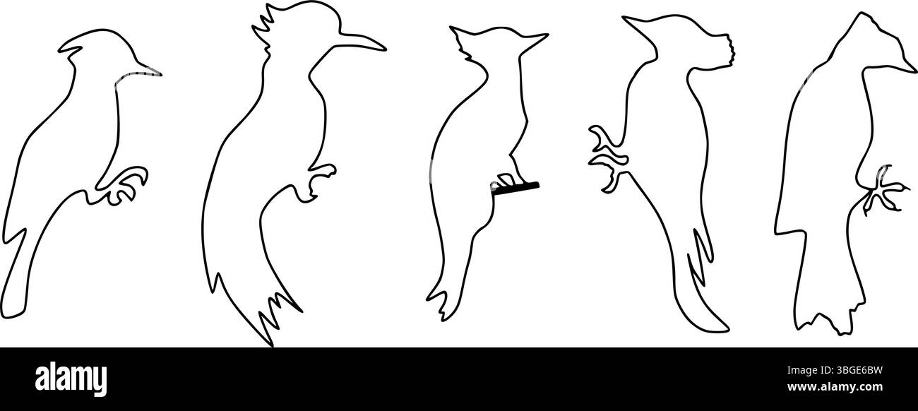 Specht Silhouette Umriss , handgezeichnete schwarze Linie Zeichnung eines kleinen Spechtvogels, der auf einem Ast (Campophilus melanoleucus) auf einem Stamm steht Stock Vektor