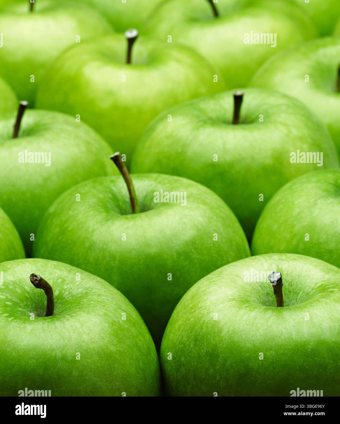 Granny Smith Äpfel Stockfoto