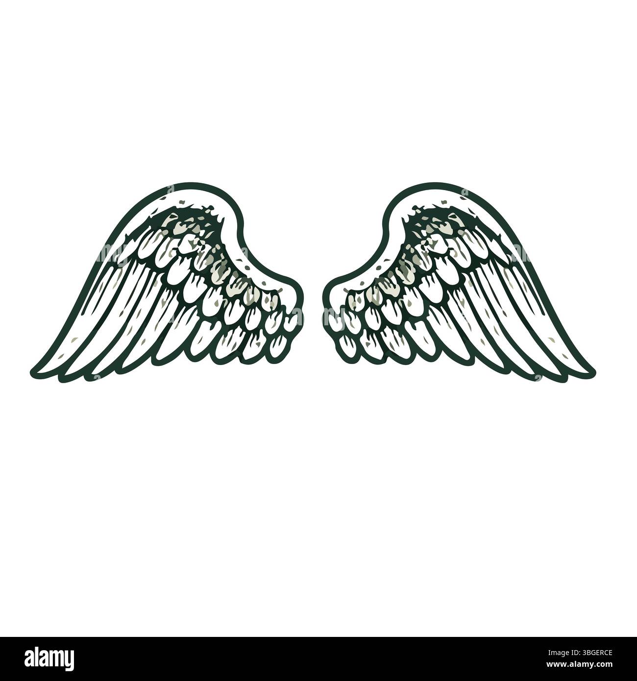 Federflügel in Form von Engel- oder Drachenillustration im Vektor Stockfoto