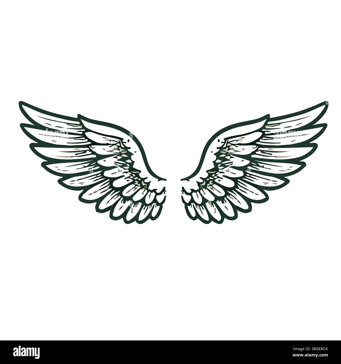 Federflügel in Form von Engel- oder Drachenillustration im Vektor Stockfoto