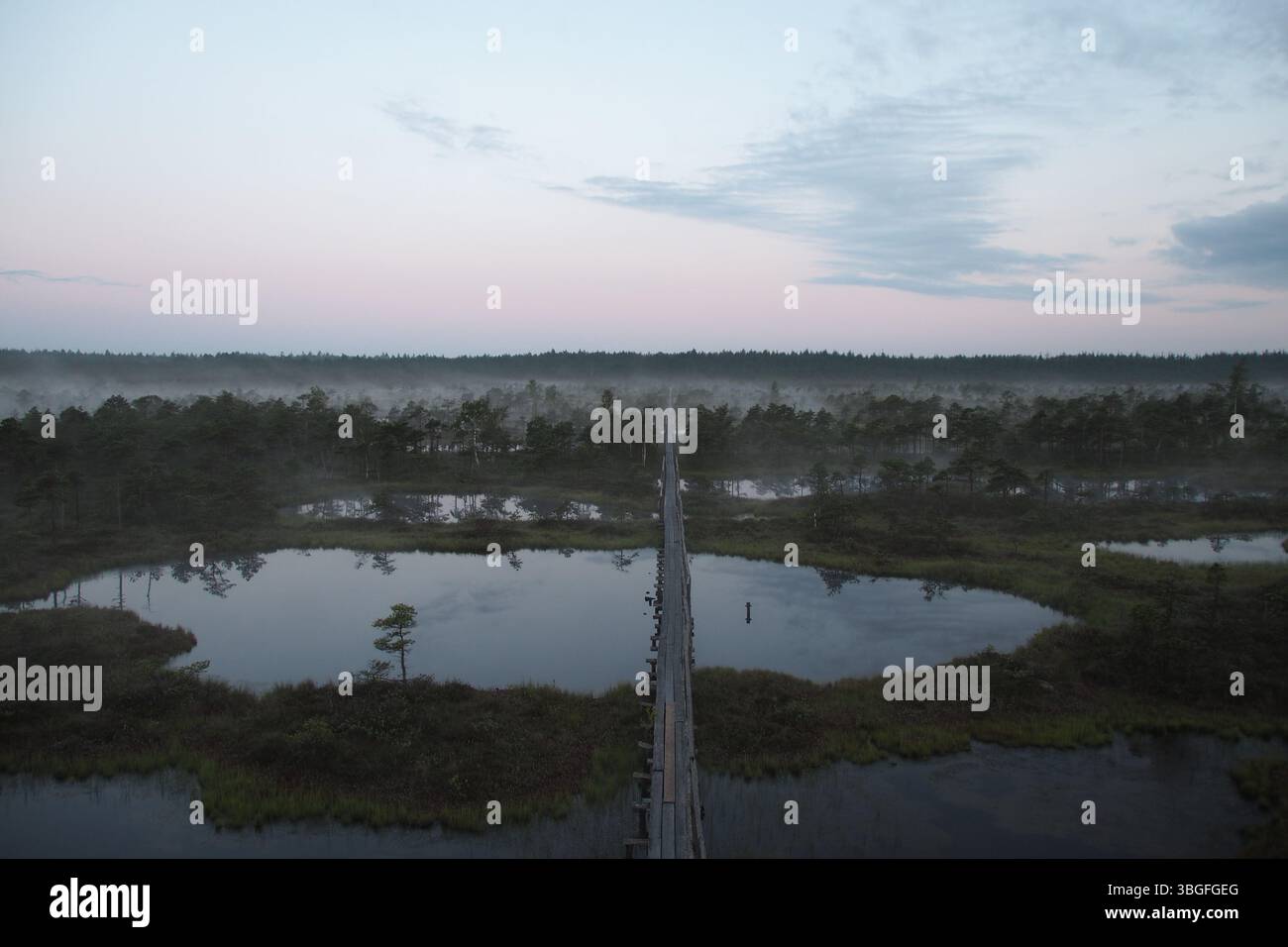 Holzsteg durch Misty Mog mit Seen bei Dawn Stockfoto
