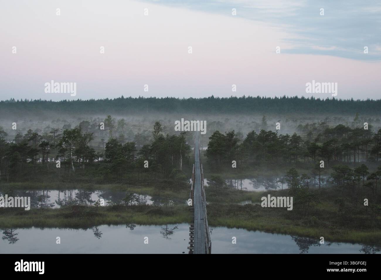 Holzsteg durch Misty Mog mit Seen bei Dawn Stockfoto