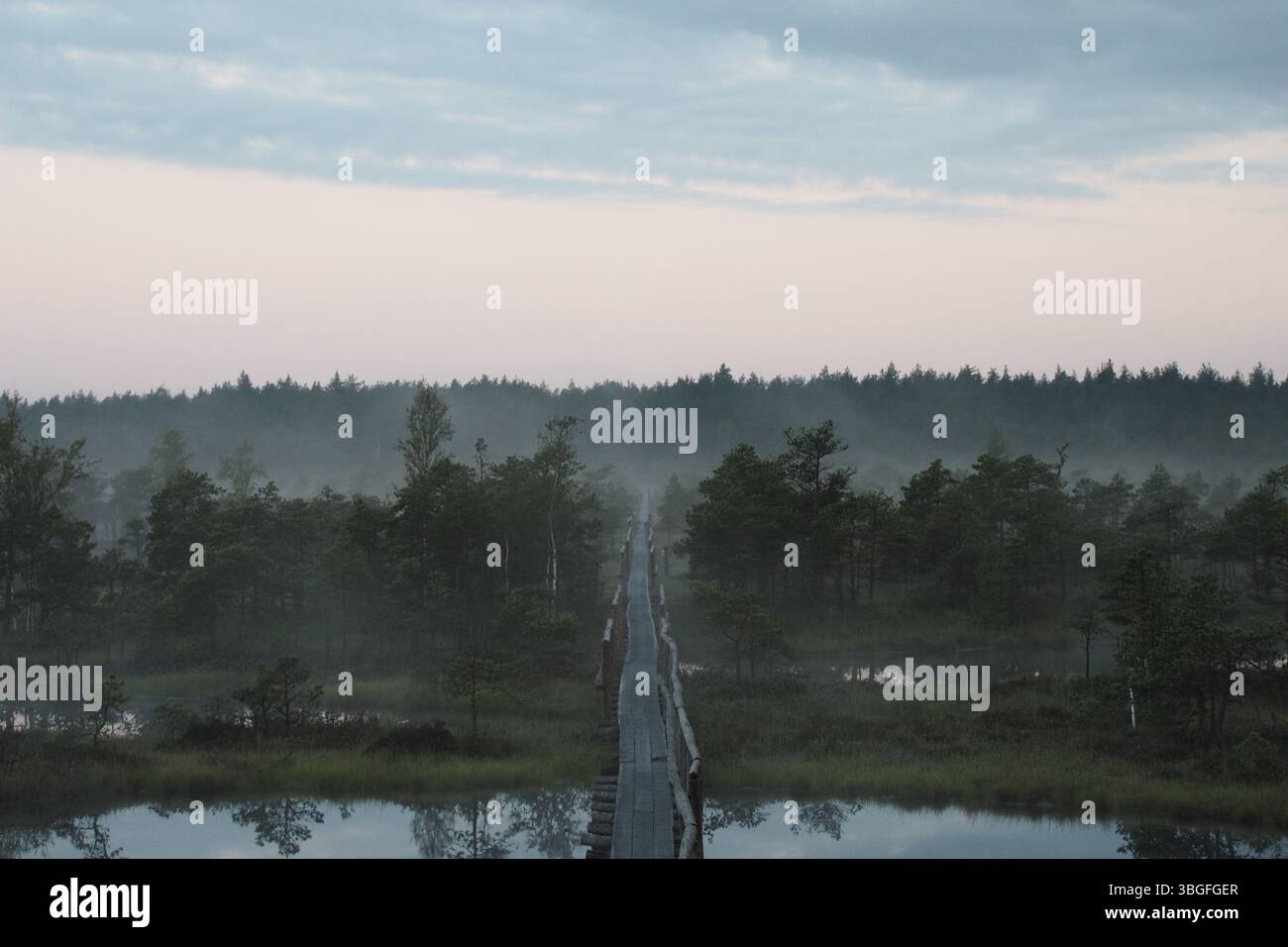 Holzsteg durch Misty Mog mit Seen bei Dawn Stockfoto