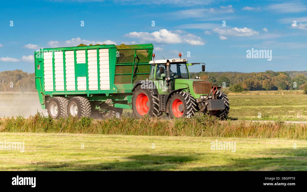 Traktor mit beladenem Anhänger während der Heuernte - 3870 Stockfoto