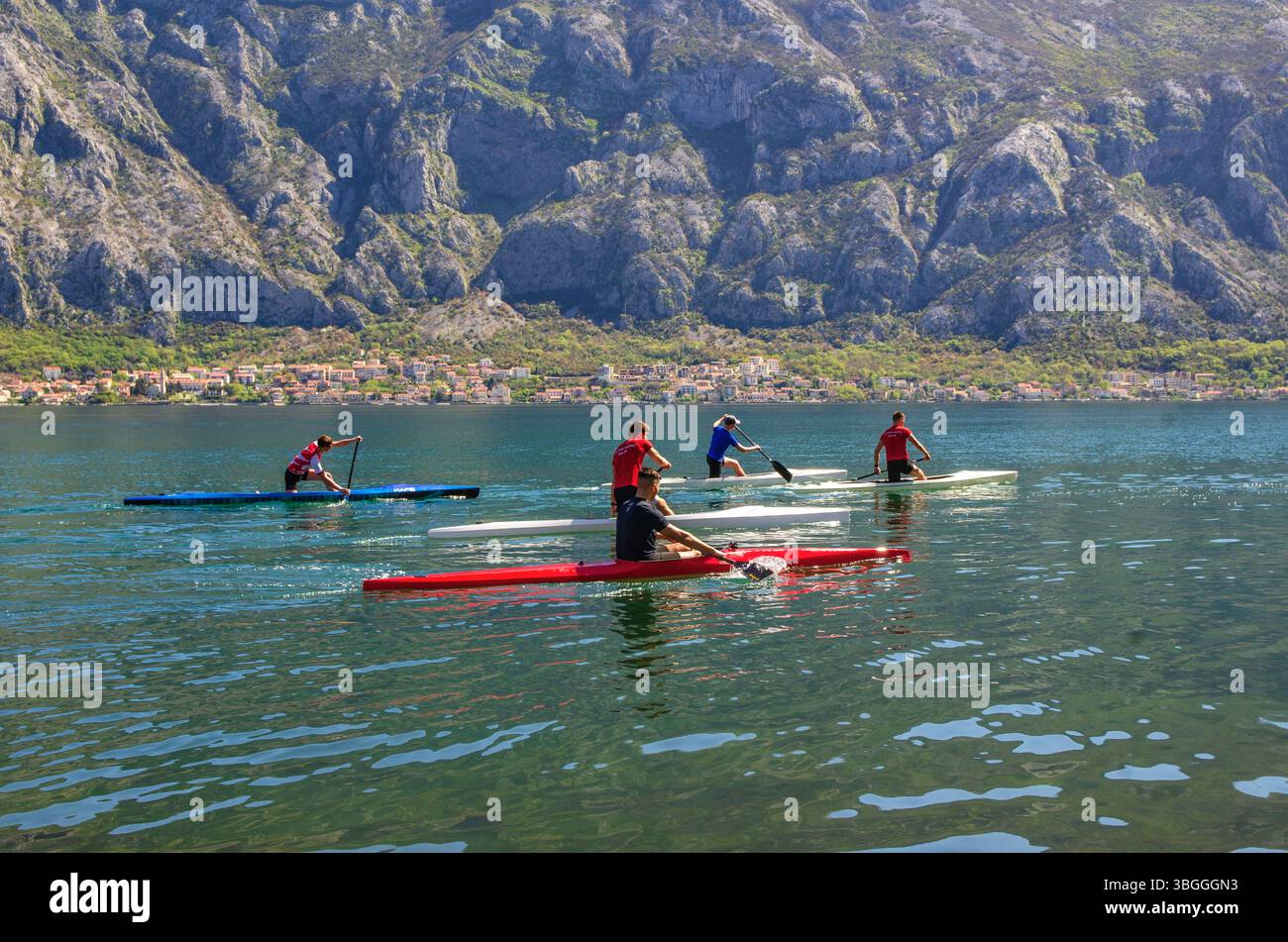 Kanufahrer paddeln in Kotor Bay, Montenegro. Kotor Bay hat viele Wassersportclubs für junge Erwachsene. Stockfoto