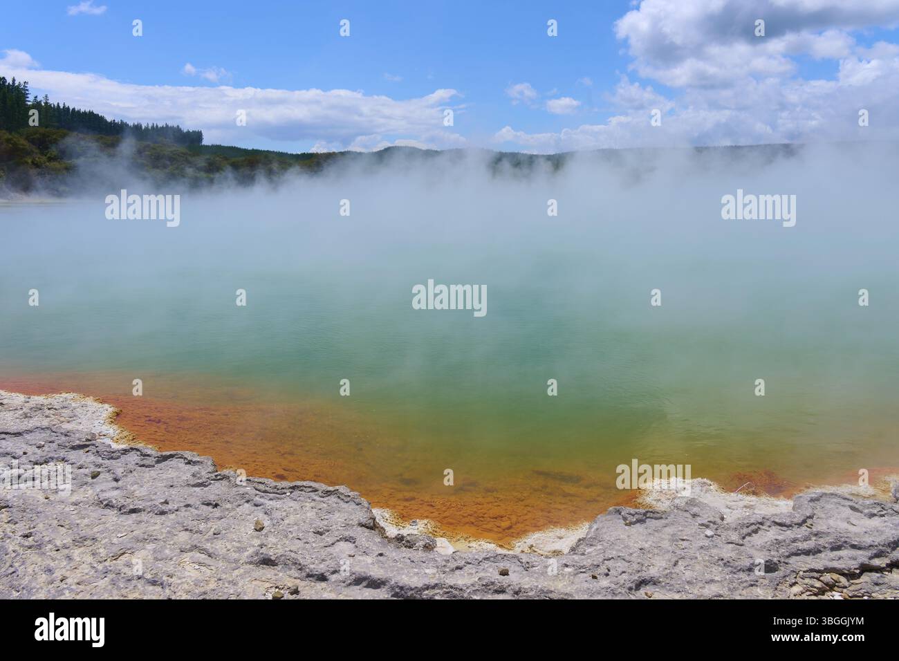 Dampfender Frühling mit Orange- und Grüntönen unter bewölktem Himmel, Thermalsee Champagne Pool, Wai-O-Tapu Thermal Wonderland, Rotorua, Nordinsel, Neu Stockfoto
