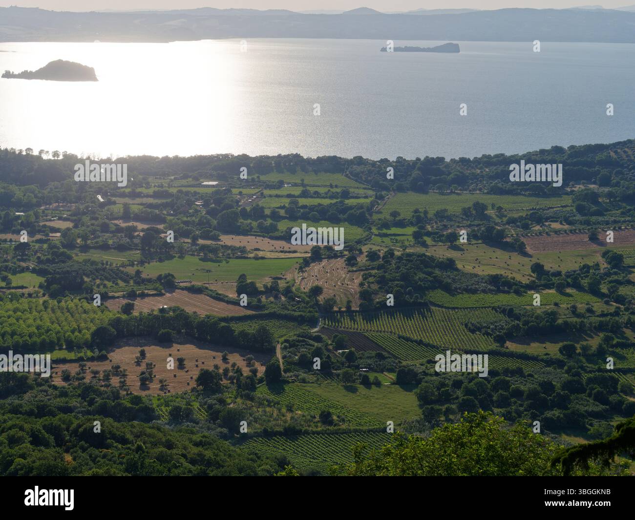 See Bolsena und Ackerland voller Heuballen im Vordergrund in Montefiascone, Region Latium, Italien. Juni 2025 Stockfoto See Bolsena und Ackerland voller Heuballen im Vordergrund in Montefiascone, Region Latium, Italien. Juni 2025 Stockfoto