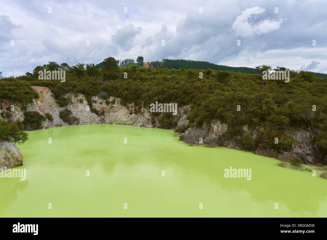 Grüner See umgeben von Bäumen und Felsen unter bewölktem Himmel, Devil's Bath, ein grüner Schwefelsee, Wai-O-Tapu Thermal Wonderland, Rotorua, Nordinsel Stockfoto