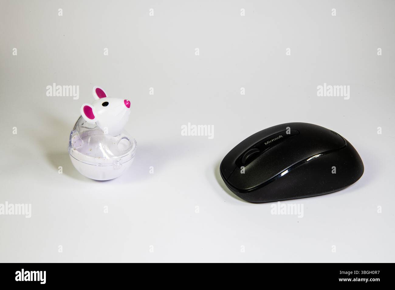 Katzenspielzeug-Maus mit Blick auf eine Computermaus auf weißem Hintergrund, humorvolle Technik und tierisches Wortspiel-Konzept. Stockfoto