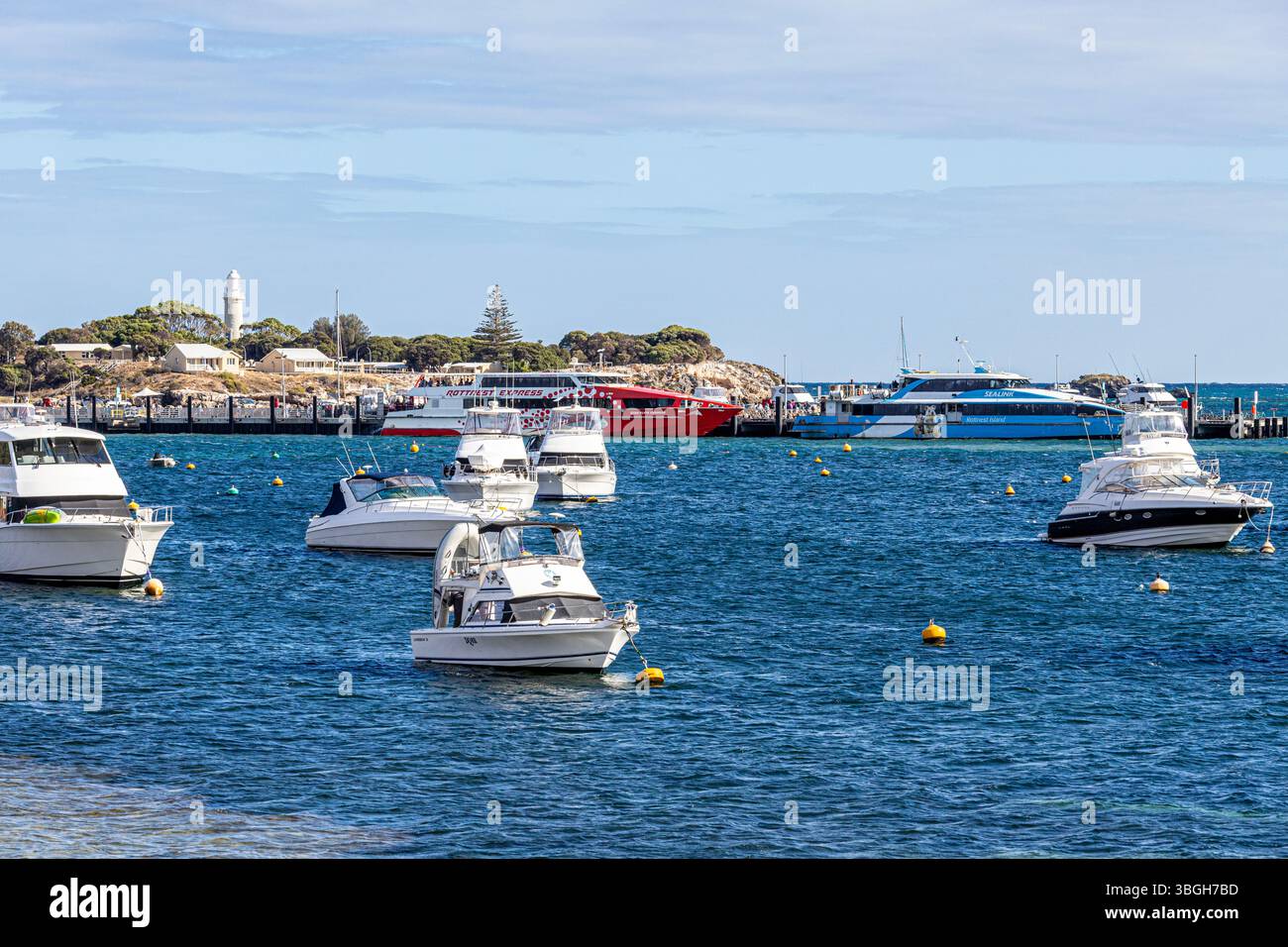 Die Rottnest Express Fähre Star Flyte Express und die Sealink Fähre im Hafen von Thomson Bay, Rottnest Island, (Wadjemup) Western Australia, WA, Aust Stockfoto