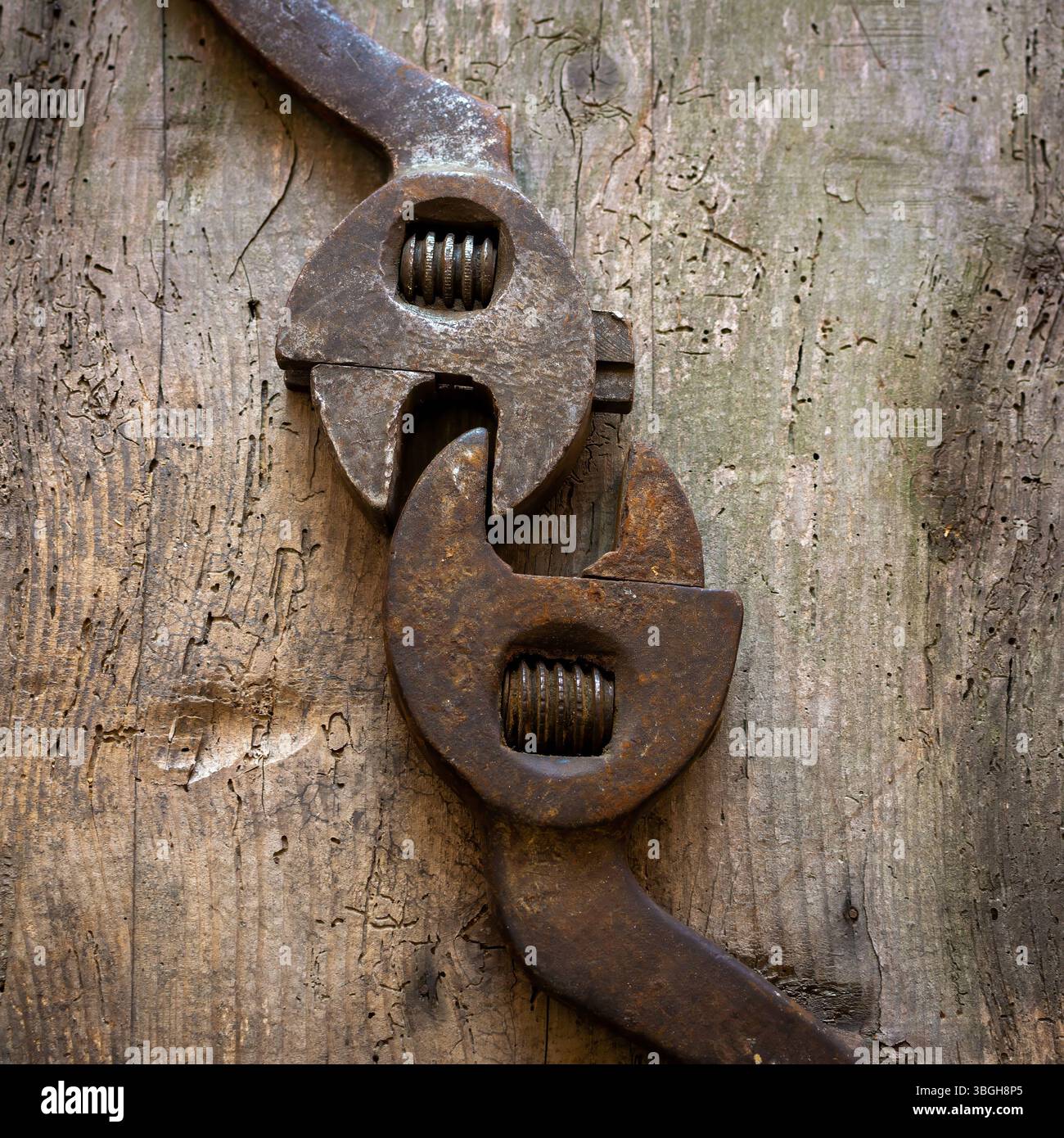 Zwei verstellbare Vintage-Schraubenschlüssel liegen eng auf einer rustikalen Holzoberfläche, die ihre einzigartigen Designs und die Trageschichten der Vergangenheit hervorheben Stockfoto
