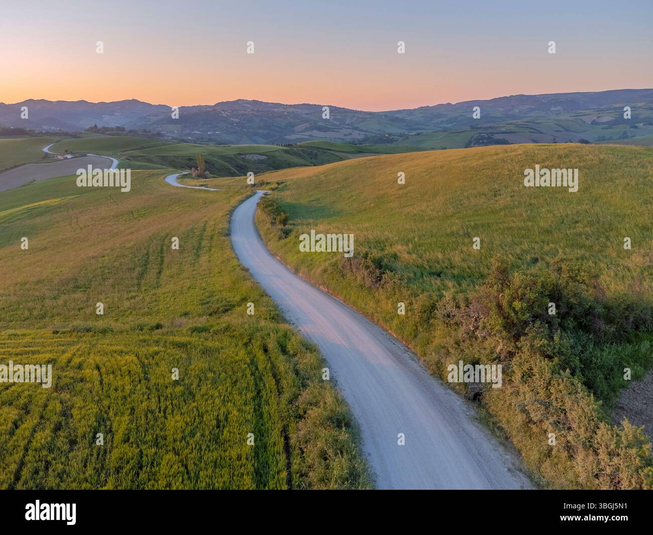 Sonnenaufgang am frühen Morgen über den grünen Hügeln von Petriano, mit einer Straße durch die ruhige Landschaft, Provinz Pesaro Urbino, Marken, Italien Stockfoto
