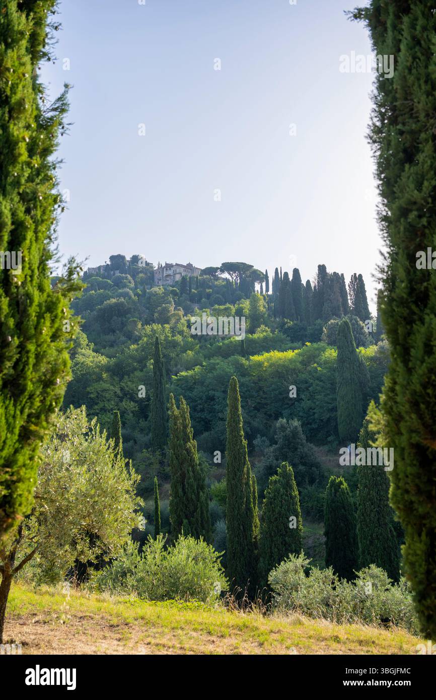 Typisch toskanische Landschaft im Val d'Orcia, Blick auf den Hügel von Montepulciano im Sommer, Toskana, Italien, Europa Stockfoto