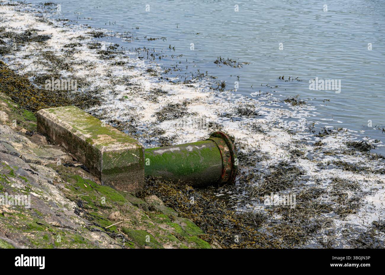 Das Auslaufen der Abwasserleitung wirkt auf den River Medway Stockfoto Das Auslaufen der Abwasserleitung wirkt auf den River Medway Stockfoto