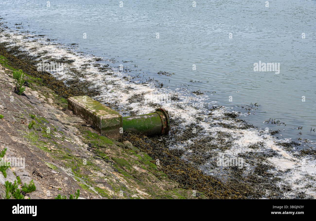 Das Auslaufen der Abwasserleitung wirkt auf den River Medway Stockfoto Das Auslaufen der Abwasserleitung wirkt auf den River Medway Stockfoto