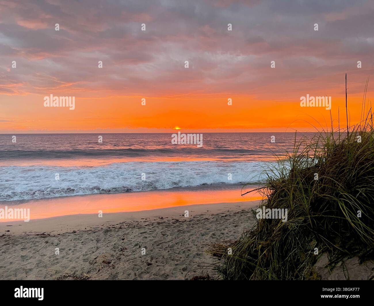 Feuriger orangefarbener Sonnenuntergang über dem Meer spiegelt sich auf nassem Sand unter einem dramatischen Himmel, mit Strandgras am Horizont der Küste. - Smartphone-aufgenommenes Stockfoto