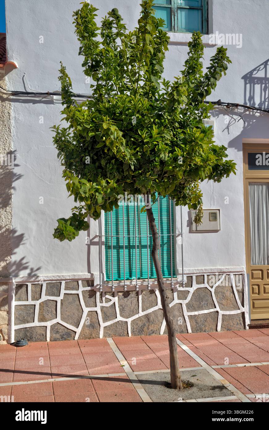 Blick auf das Haus, Fassade, Architektur, Stadtbesichtigung, Santiago de la Ribera, Mar Menor, autonome Region Murcia, Spanien, Stockfoto