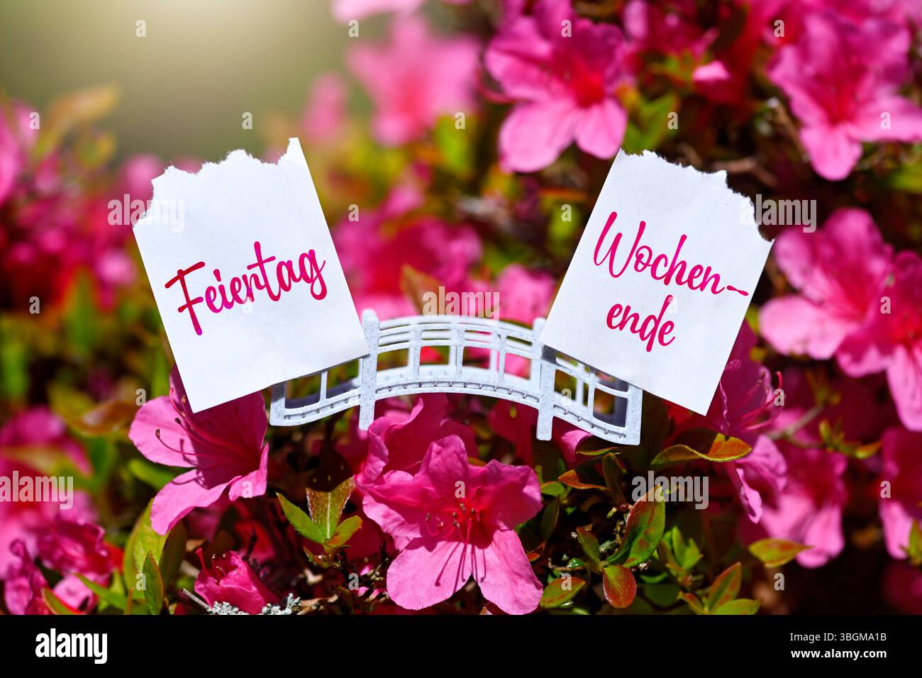 Brücke mit zwei Kalenderseiten und Inschrift Feiertag und Wochenende, symbolischer Fotobrückentag, Fotomontage Stockfoto