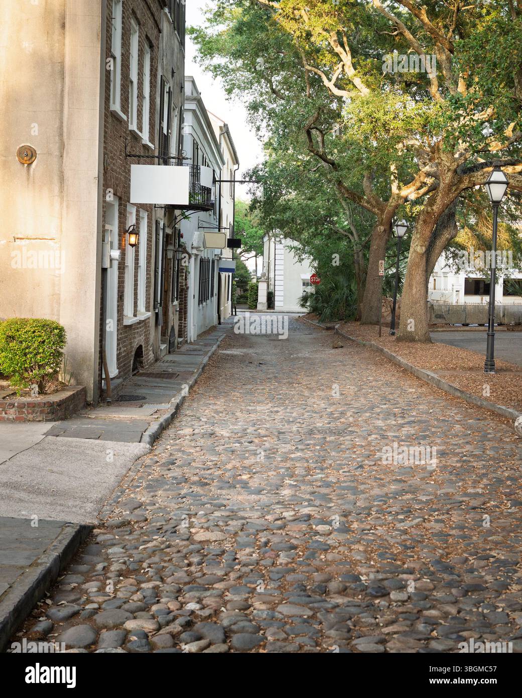 Kopfsteinpflasterstraße in Charleston, SC, am späten Nachmittag Stockfoto