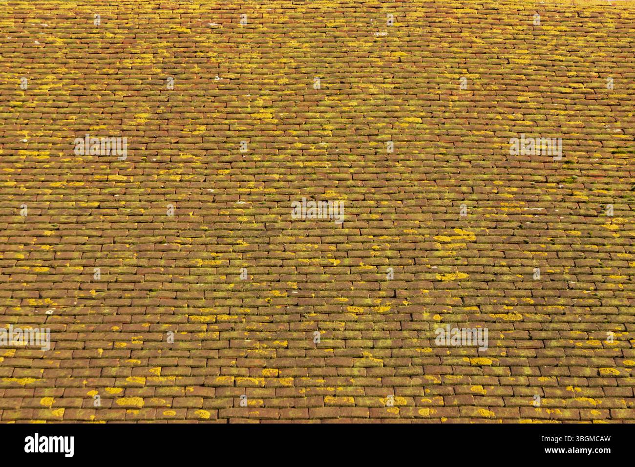 Dachziegel auf dem Farmhaus Dach Stockfoto