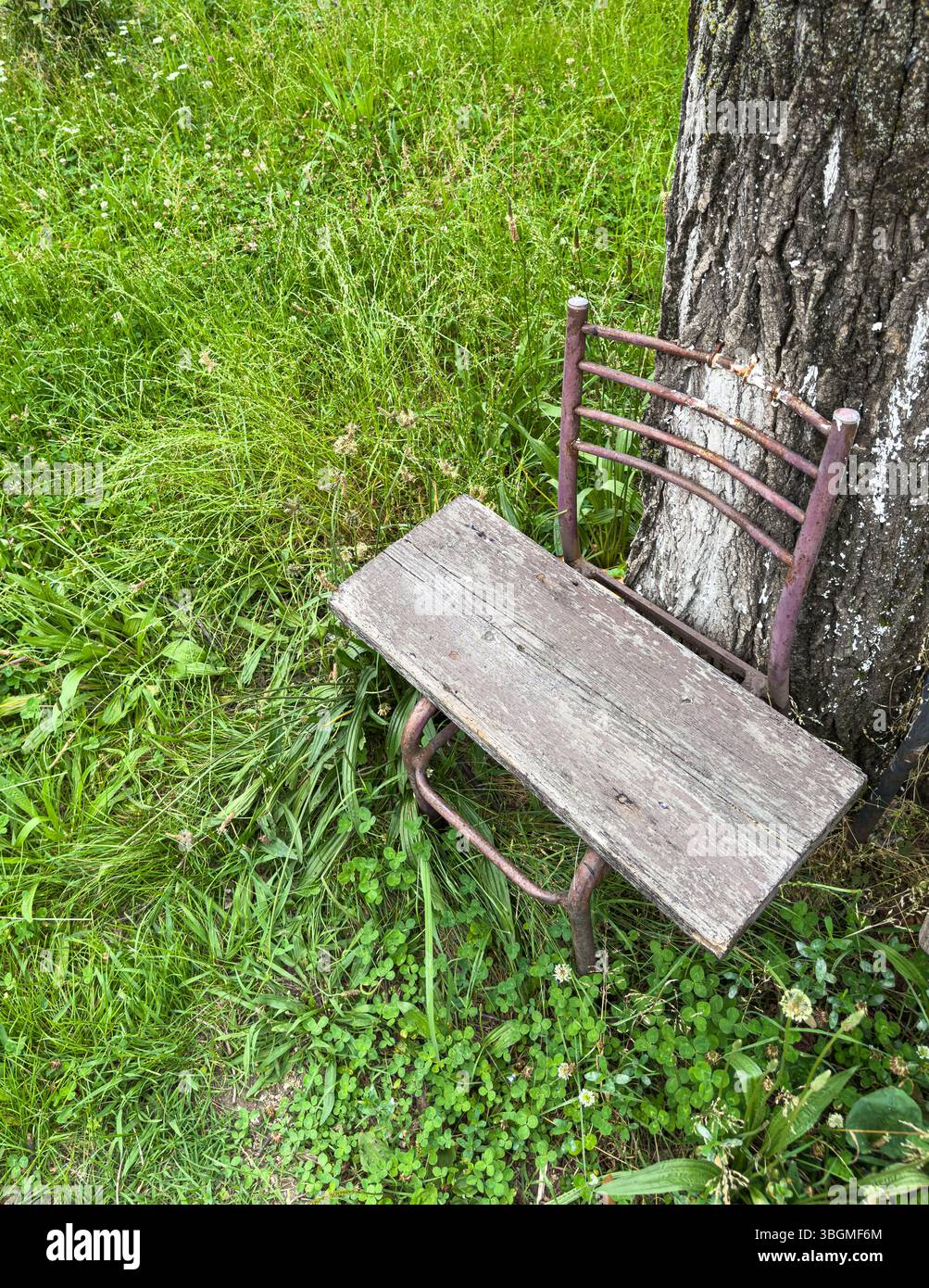 Alte hölzerne Gartenbank mit rostigem Metallgestell am Baumstamm auf Gras. Geeignet für rustikales Design, Einsamkeit, Nostalgie, Außenhintergründe. Stockfoto