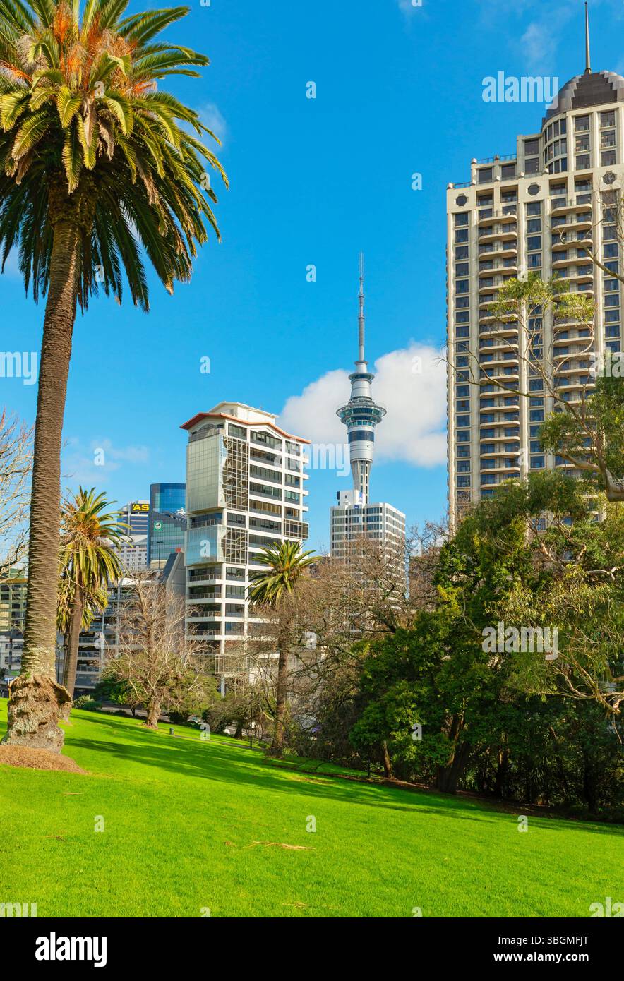 Blick auf den Auckland Sky Tower vom Albert Park, Auckland, Nordinsel, Neuseeland Stockfoto