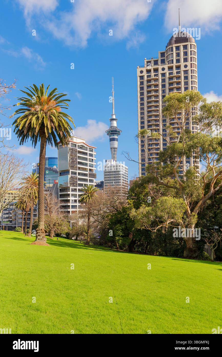 Blick auf den Auckland Sky Tower vom Albert Park, Auckland, Nordinsel, Neuseeland Stockfoto