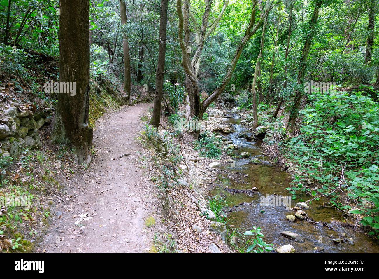 Potami, Wanderweg zum Potami-Wasserfall auf der Insel Samos in Griechenland Stockfoto