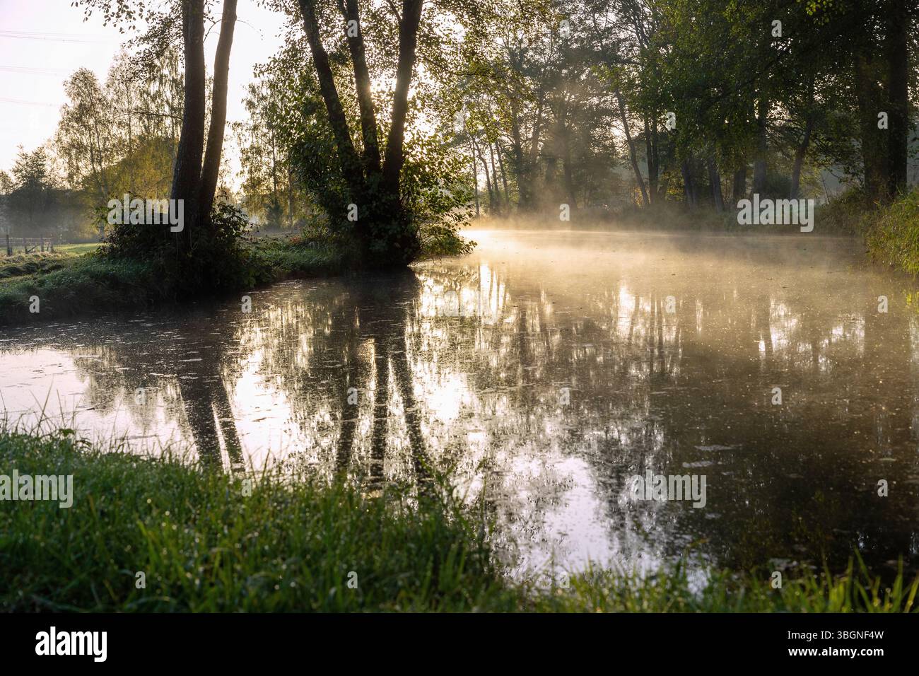 Herbstatmosphäre mit Morgennebel und Wasserspiegelung auf dem Schwillach bei Unterschwillach in Oberbayern in Deutschland Stockfoto