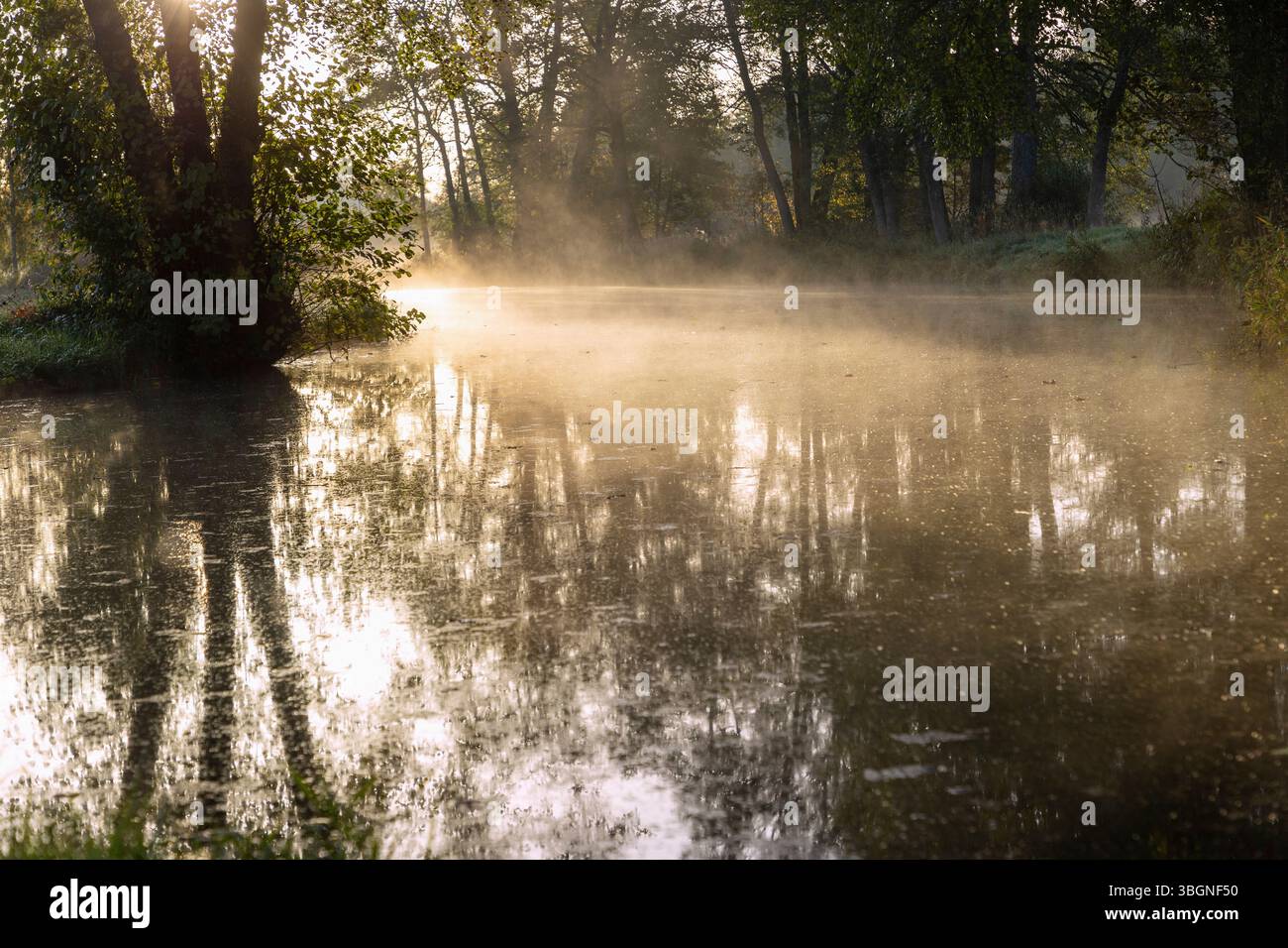Herbstatmosphäre mit Morgennebel und Wasserspiegelung auf dem Schwillach bei Unterschwillach in Oberbayern in Deutschland Stockfoto