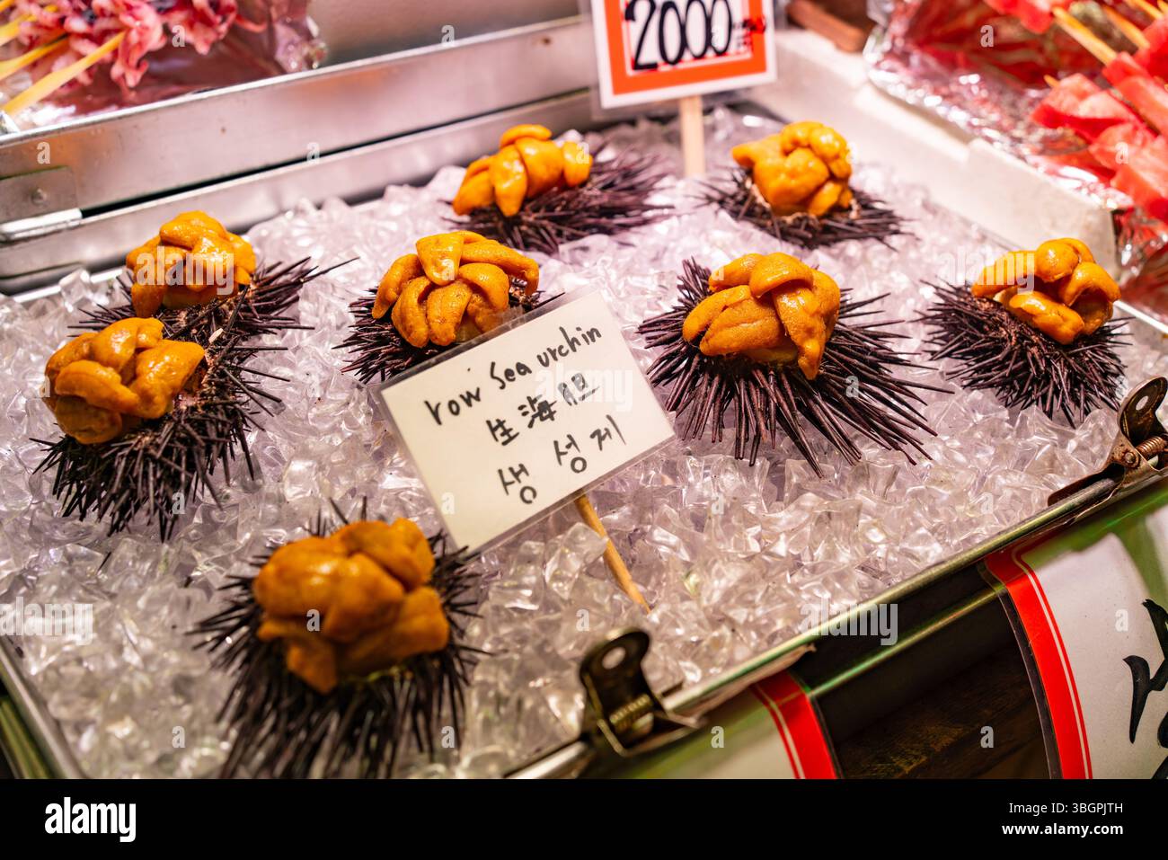 Seeigel zum Verkauf auf dem Nishiki Market, einem Marktplatz in Kyoto, Japan Stockfoto