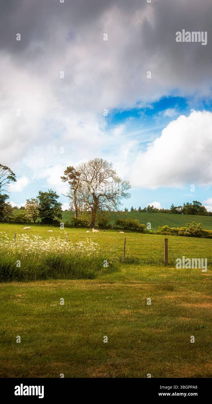 Landscapes of Edlingham, Northumberland, Großbritannien, 29. Mai 2025 Stockfoto