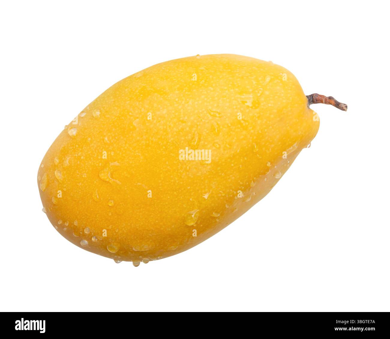 Einzelne reife gelbe Mangobrüchte sind auf weißem Hintergrund mit Schnittpfad isoliert. Stockfoto