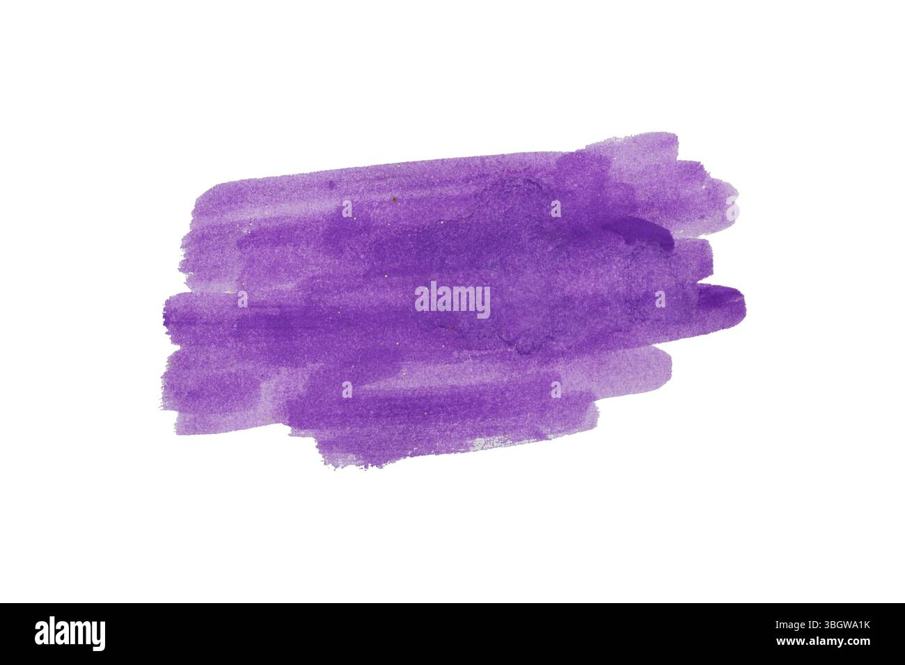 Lila Pinsel isoliert auf weißem Hintergrund und mit Beschneidungspfaden. Stockfoto