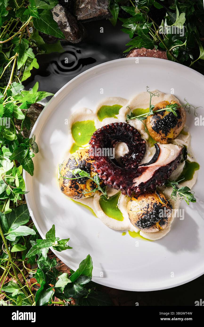 Genießen Sie ein Gourmet-Oktopus-Gericht mit Jakobsmuscheln und einer feinen frischen grünen Sauce Stockfoto