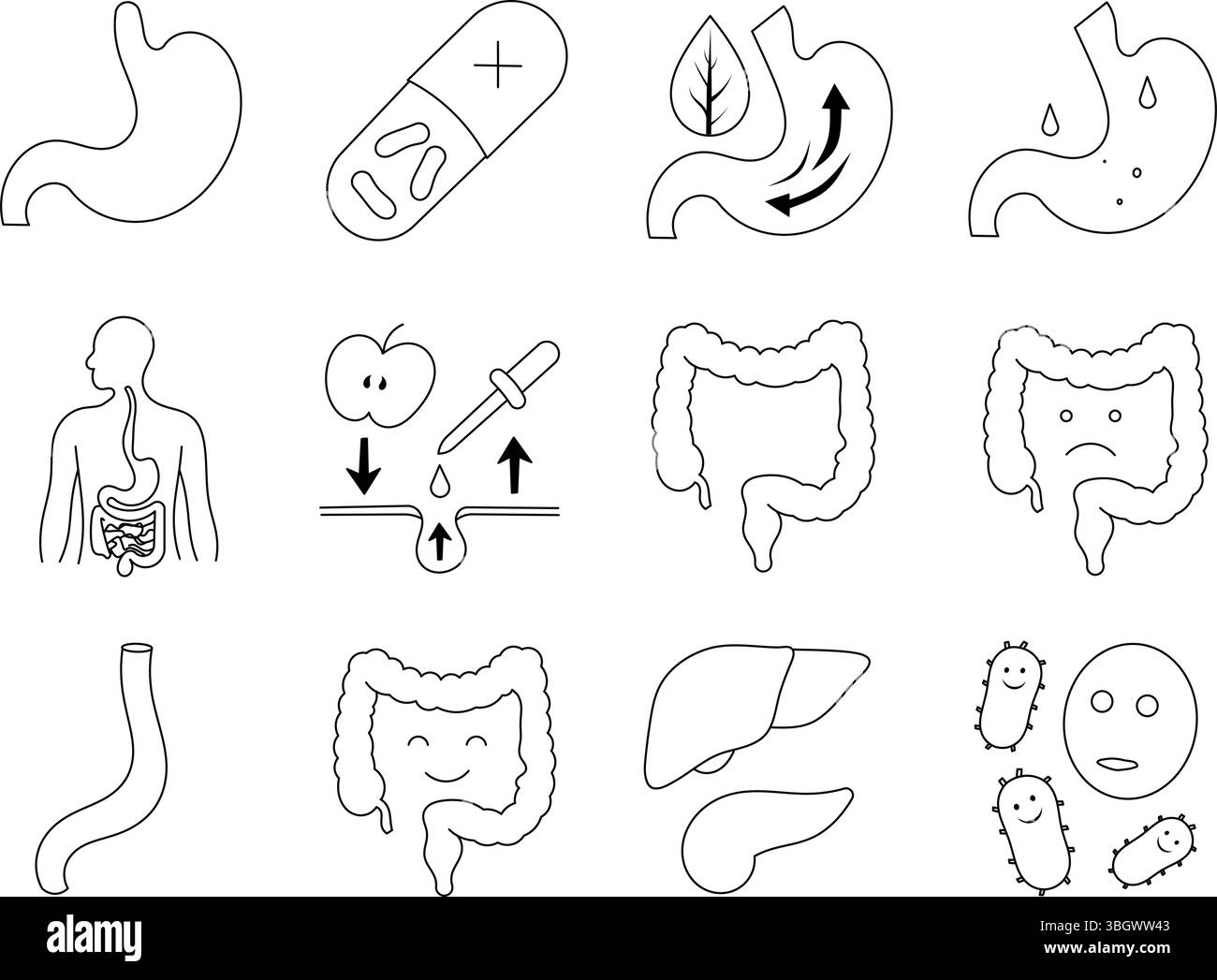 Icon Pack für medizinische und Verdauungsanatomie. Umrisssymbole für gesunden Darm, Verdauung, Magen, Leber, Dickdarm, Mikrobiota und Nahrungsergänzungsmittel im Zusammenhang mit dem gastrointestinalen Wohlbefinden. Stock Vektor