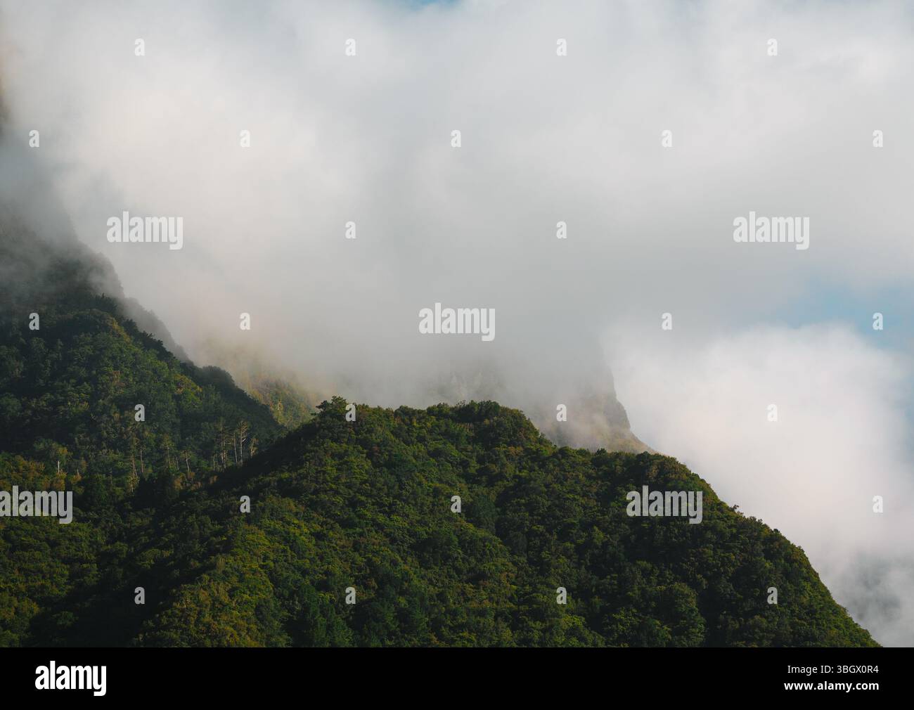 Mystische Wolkenberge der Insel Madeira Stockfoto