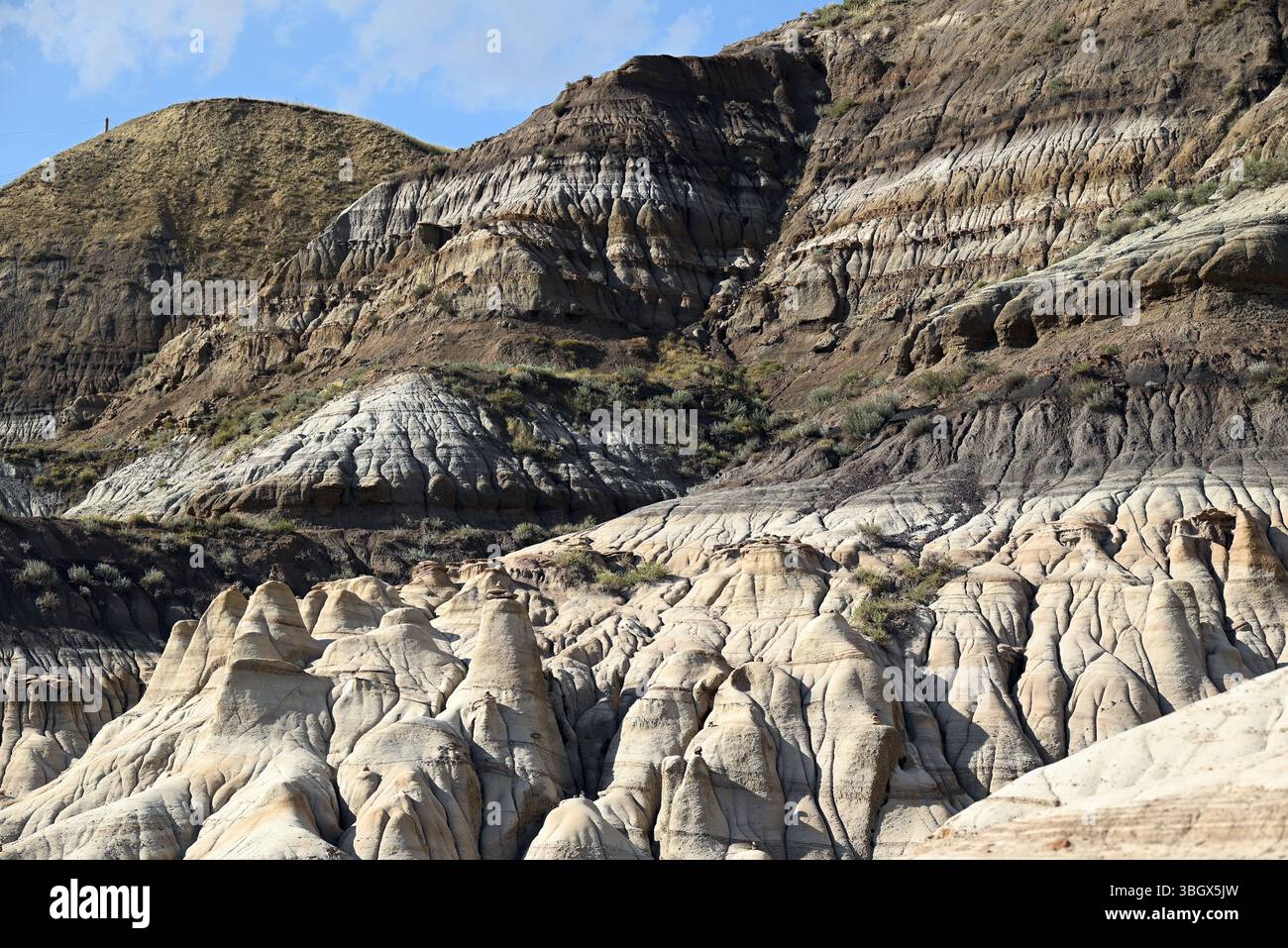 Die Willow Creek Hoodoos liegen in Alberta, östlich der Stadt Drumheller. Stockfoto