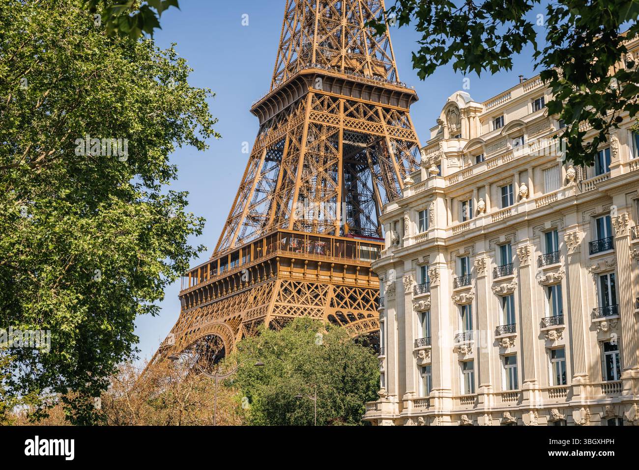 Eine markante Gegenüberstellung der Stahlkonstruktion des ikonischen Eiffelturms neben der kunstvollen Fassade eines klassischen Pariser Steingebäudes, eingerahmt von üppigen G Stockfoto