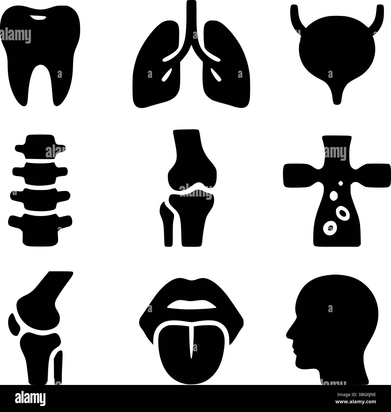 Menschliches Körperorgan und Anatomie Silhouette Symbol Set | medizinische Vektor Illustration Stock Vektor