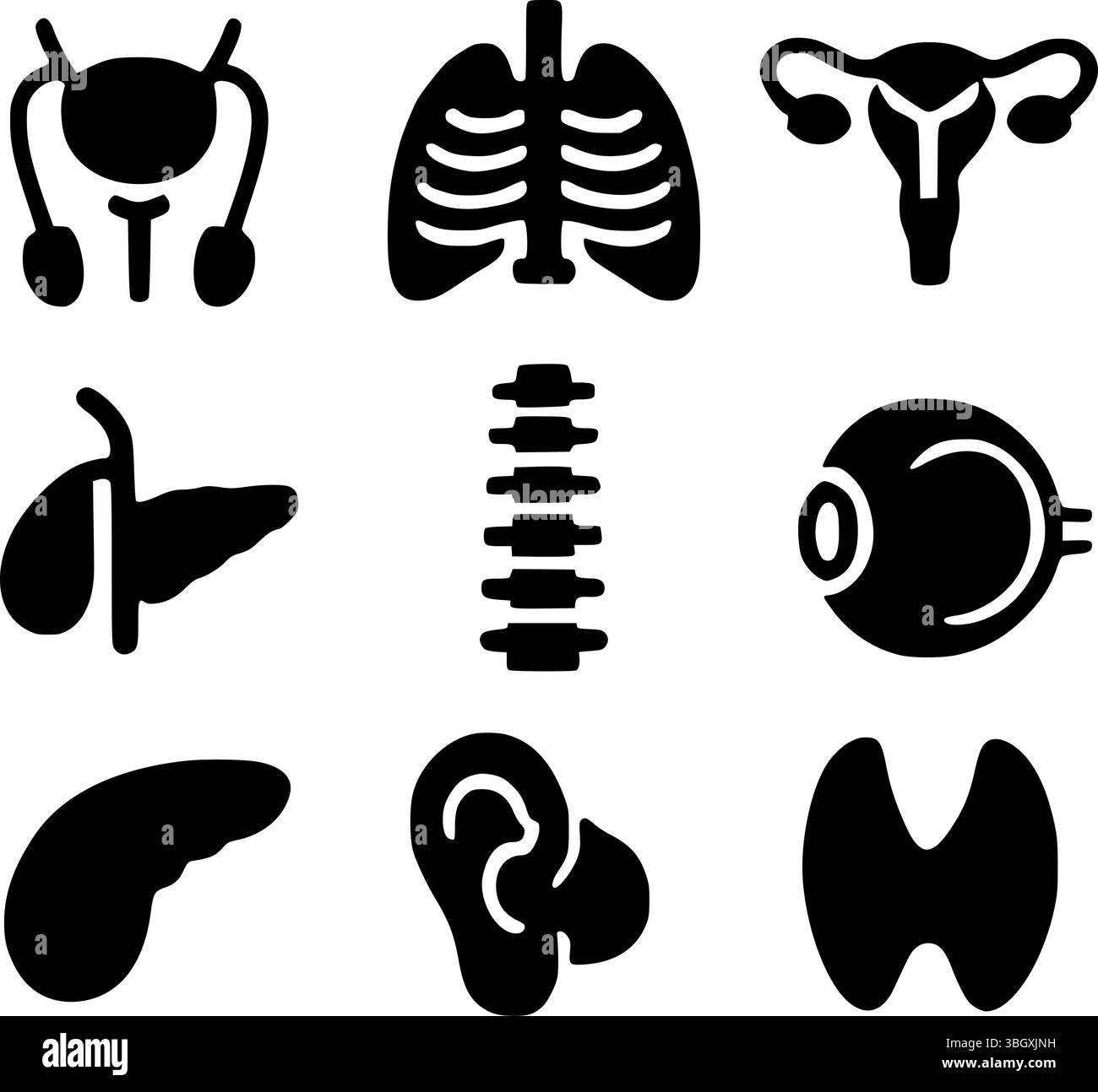 Menschliche Organ- und Körpersystem-Silhouetten – Vektor medizinische Anatomie Icons Stock Vektor