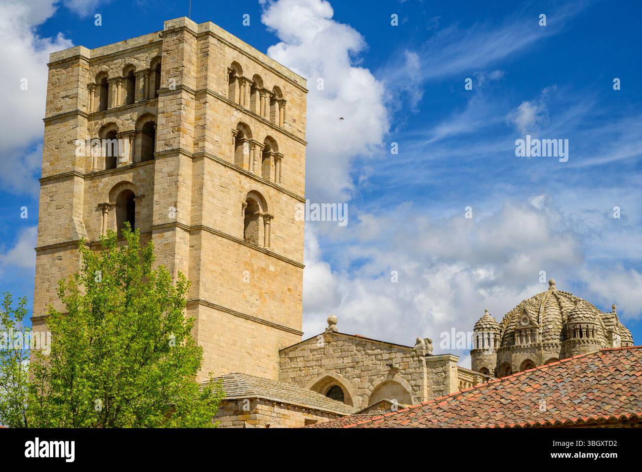 Kathedrale von Zamora, Zamora, Kastilien und León, Spanien Stockfoto