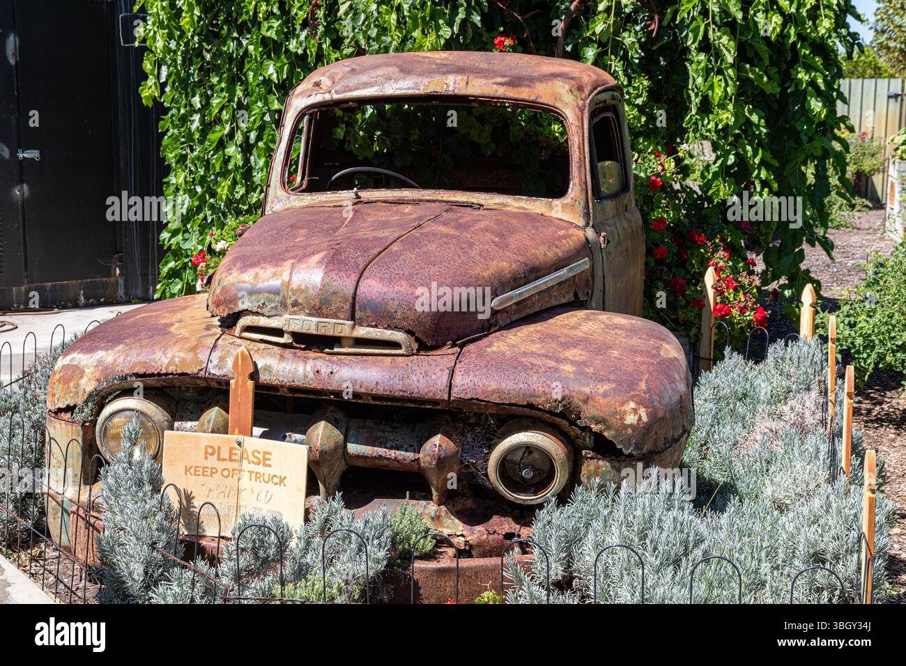 Ein alter, rostiger Ford Truck im Crooked Carrot Cafe in Myalup in der südwestlichen Region von Western Australia, WA, Australien. Stockfoto