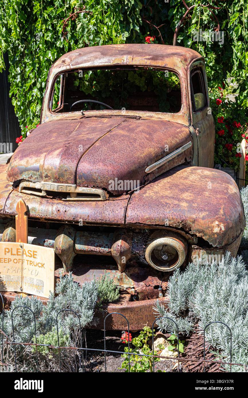 Ein alter, rostiger Ford Truck im Crooked Carrot Cafe in Myalup in der südwestlichen Region von Western Australia, WA, Australien. Stockfoto