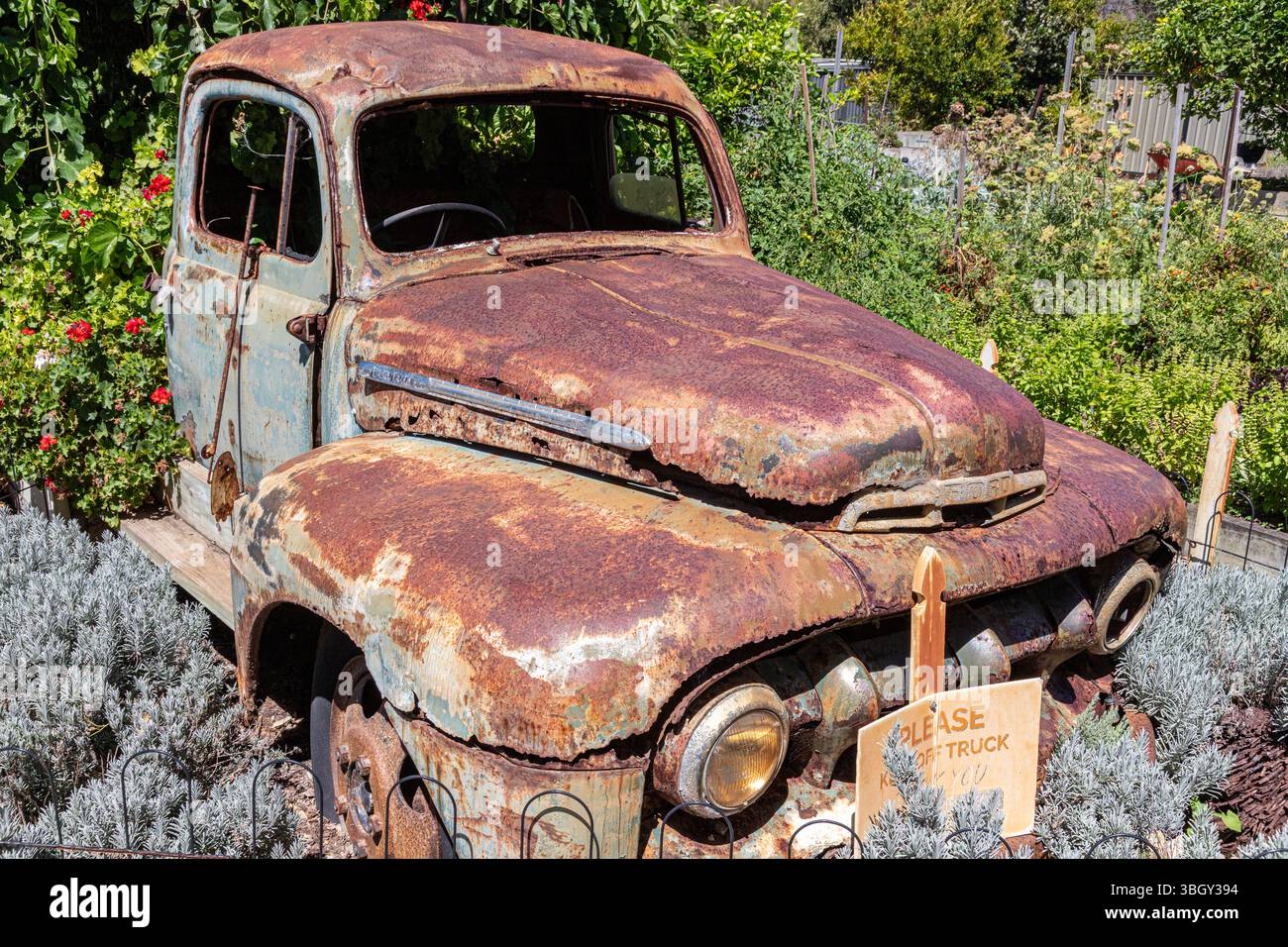 Ein alter, rostiger Ford Truck im Crooked Carrot Cafe in Myalup in der südwestlichen Region von Western Australia, WA, Australien. Stockfoto