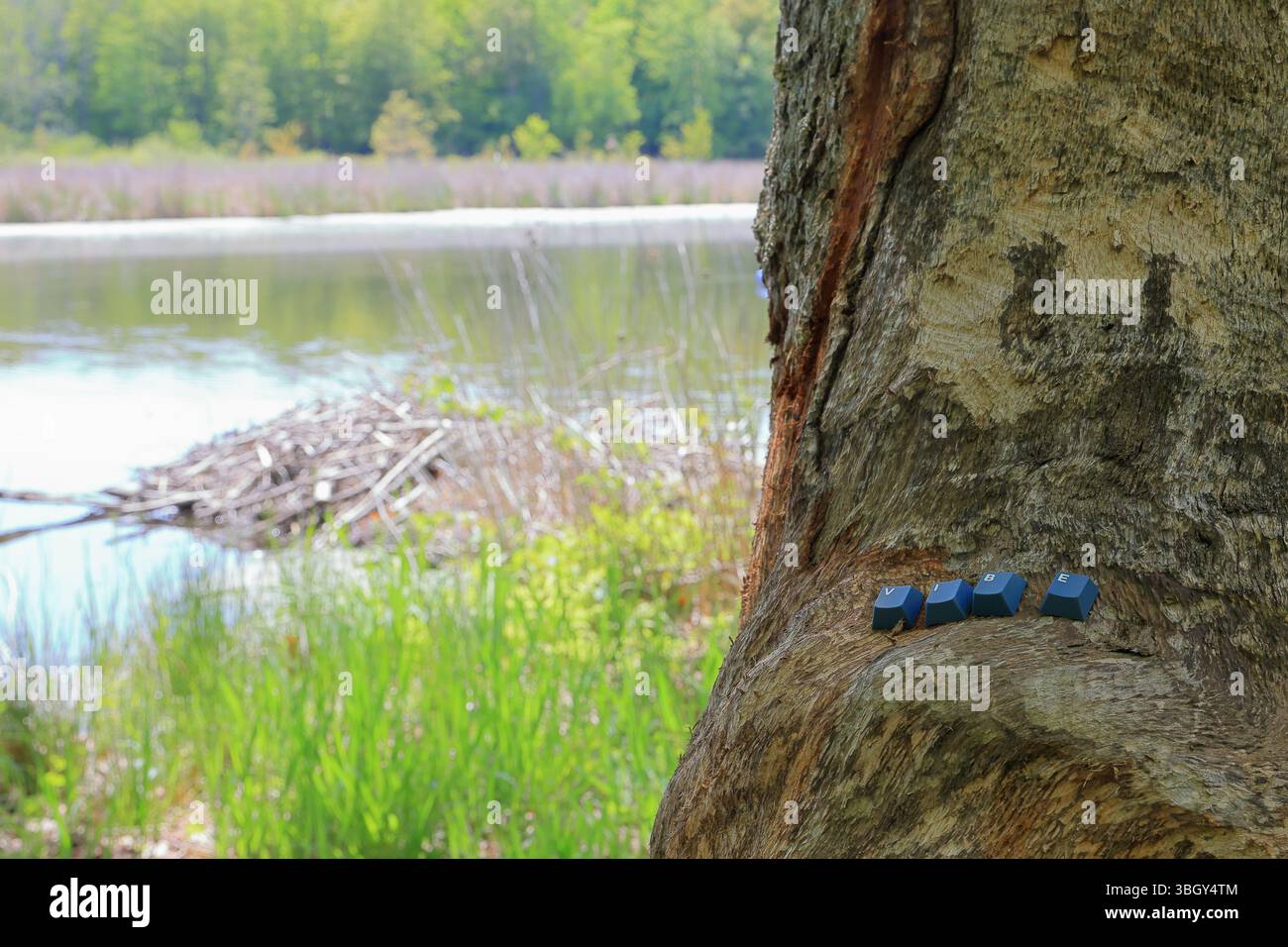 Tastaturbuchstaben erinnern uns daran, von der Technologie abzuschalten und sich mit der Atmosphäre der Natur zu verbinden Stockfoto