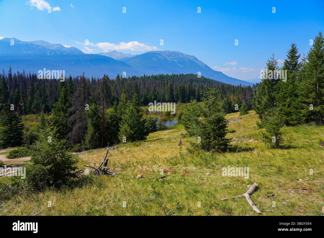Valley of the Five Lakes im Jasper National Park vor dem Waldbrand 2024 in Alberta, Kanada Stockfoto