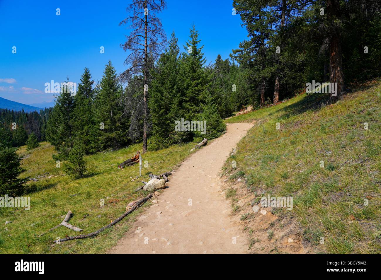 Valley of the Five Lakes Trail im Jasper National Park vor dem Waldbrand 2024 in Alberta, Kanada Stockfoto