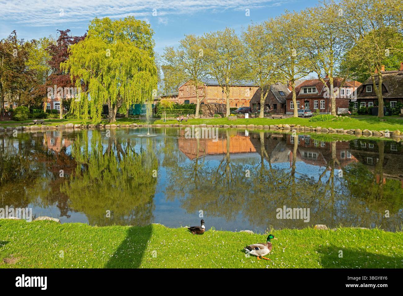 Teich, Bäume, Häuser, Enten, Petersdorf, Fehmarninsel, Schleswig-Holstein, Deutschland Stockfoto