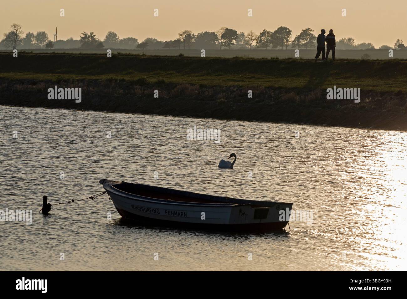 Silhouetten von Boot, Schwan, Menschen, Hintergrundbeleuchtung, Ostsee, Orth, Fehmarninsel, Schleswig-Holstein, Deutschland Stockfoto